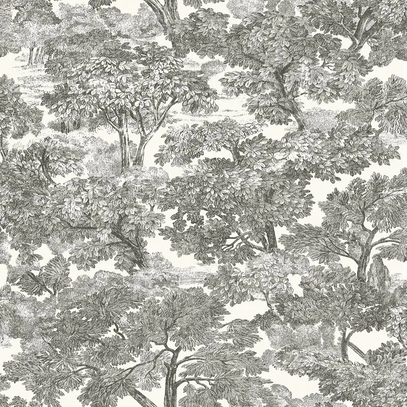 

Spinney Black Toile Wallpaper