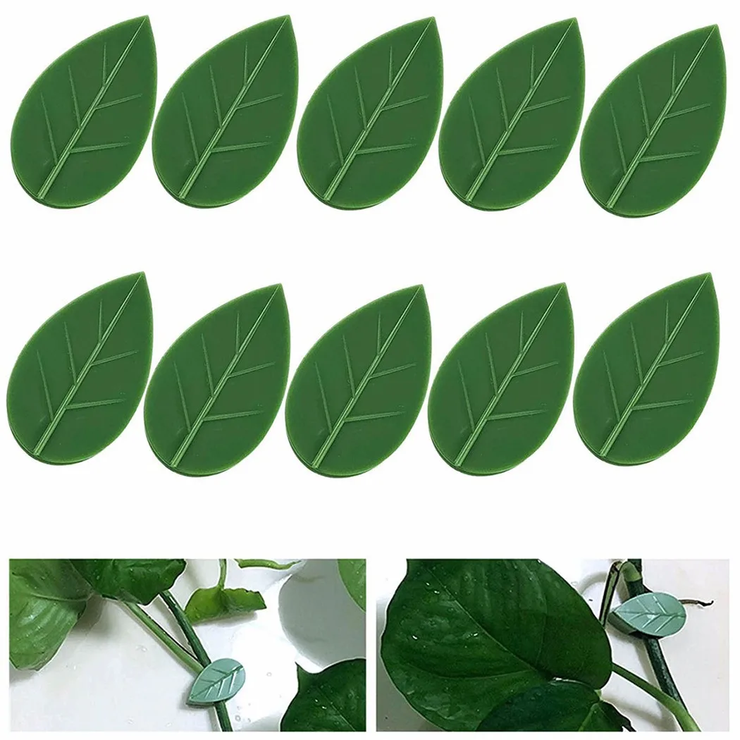 

10pcs Plant Climbing Wall Fixture Invisible Self-Adhesive Vine Hook Fixing Clips Garden Climbing Plants Bracket Fixed Buckle