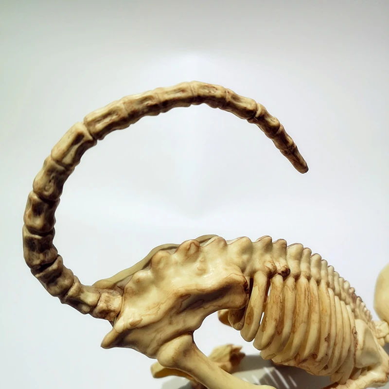 Креативное украшение в виде страшного скелета на Хэллоуин усадающий кошачий