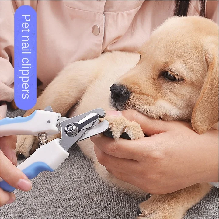

Pet dog nail scissors nail sharpener dog nail scissors nail clippers cat nail scissors artifact nail clippers pet supplies