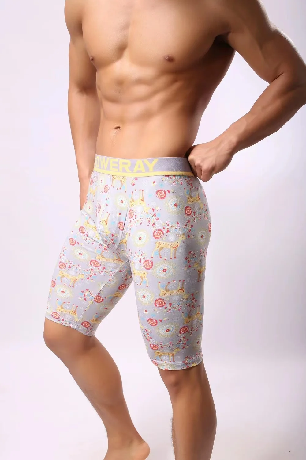 2pcs Long Men Boxer Underwear Men Underware Boxer Shorts Mens Cotton Long Leg Underpants for Brand Quality Sexy Pouch Panties