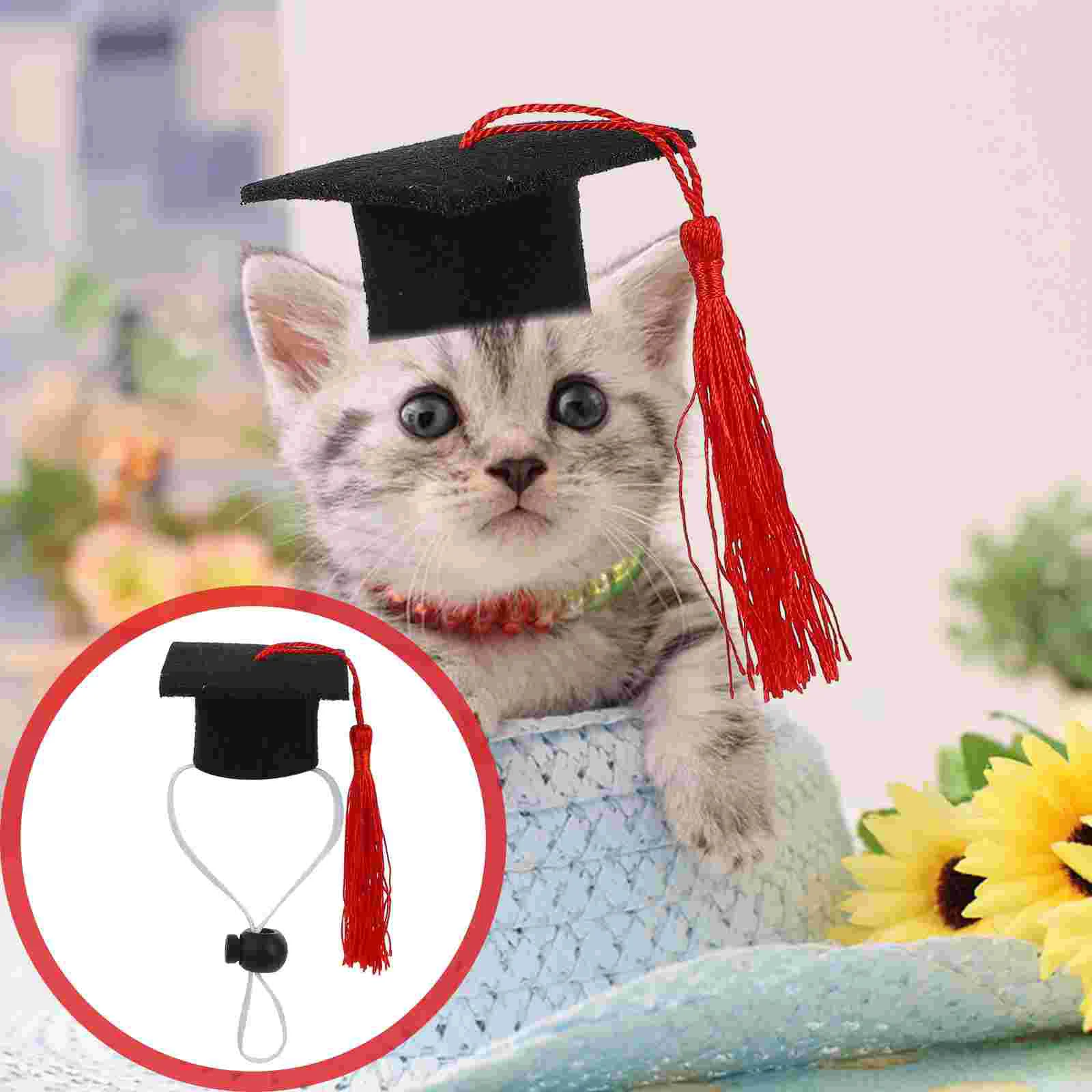 

4 Pcs Baby Doctoral Hat Dog Graduation Stuffed Animals Babies Mini Pets Costume Rabbit Puppy Cap Party Decor Bachelor