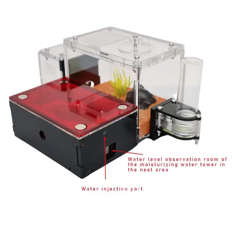 Ферма муравьев с внешней водяной башней и мусорной зоной Желтый почвенный дом из