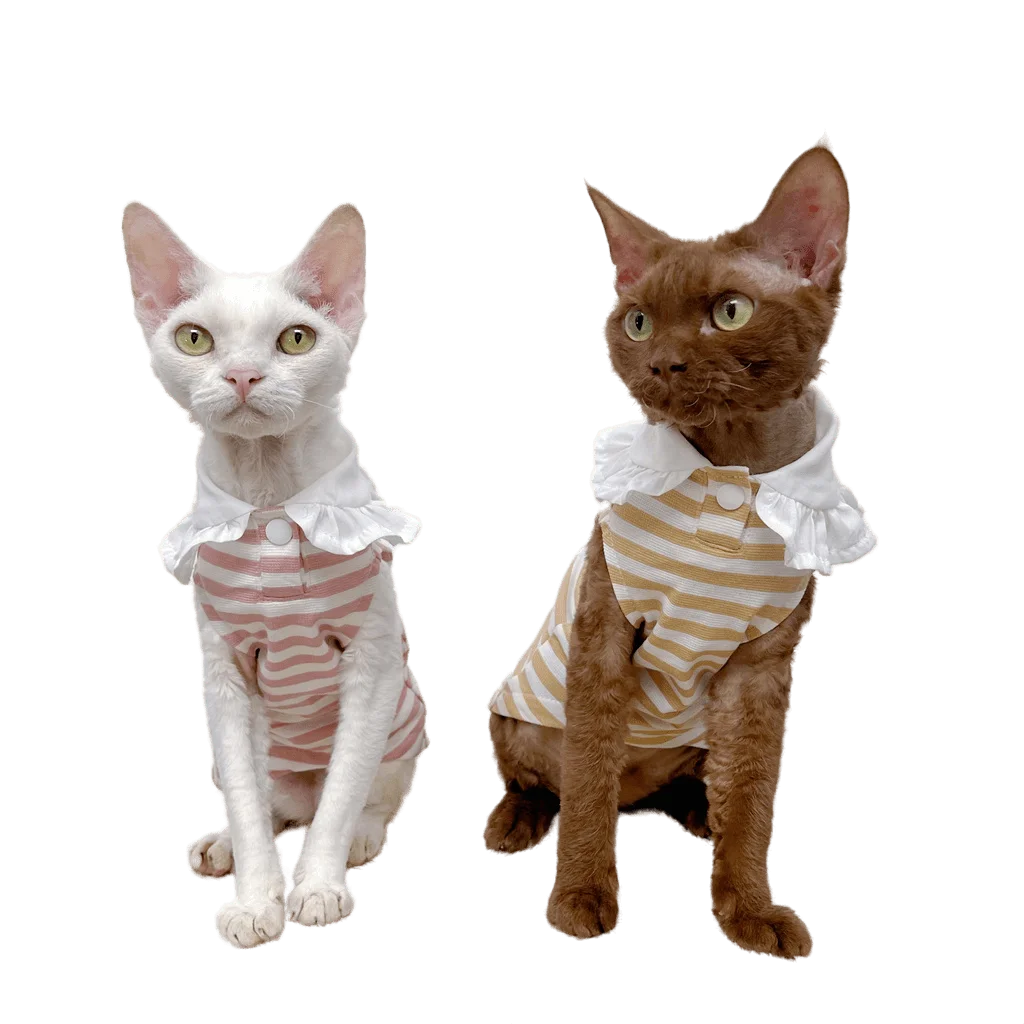 

Sphinx Hairless Cat Apparel Devon Rex Cat Clothes Cotton Stretchy Vest Short Feet Cat Summer Thin Cat Clothes for Sphynnx