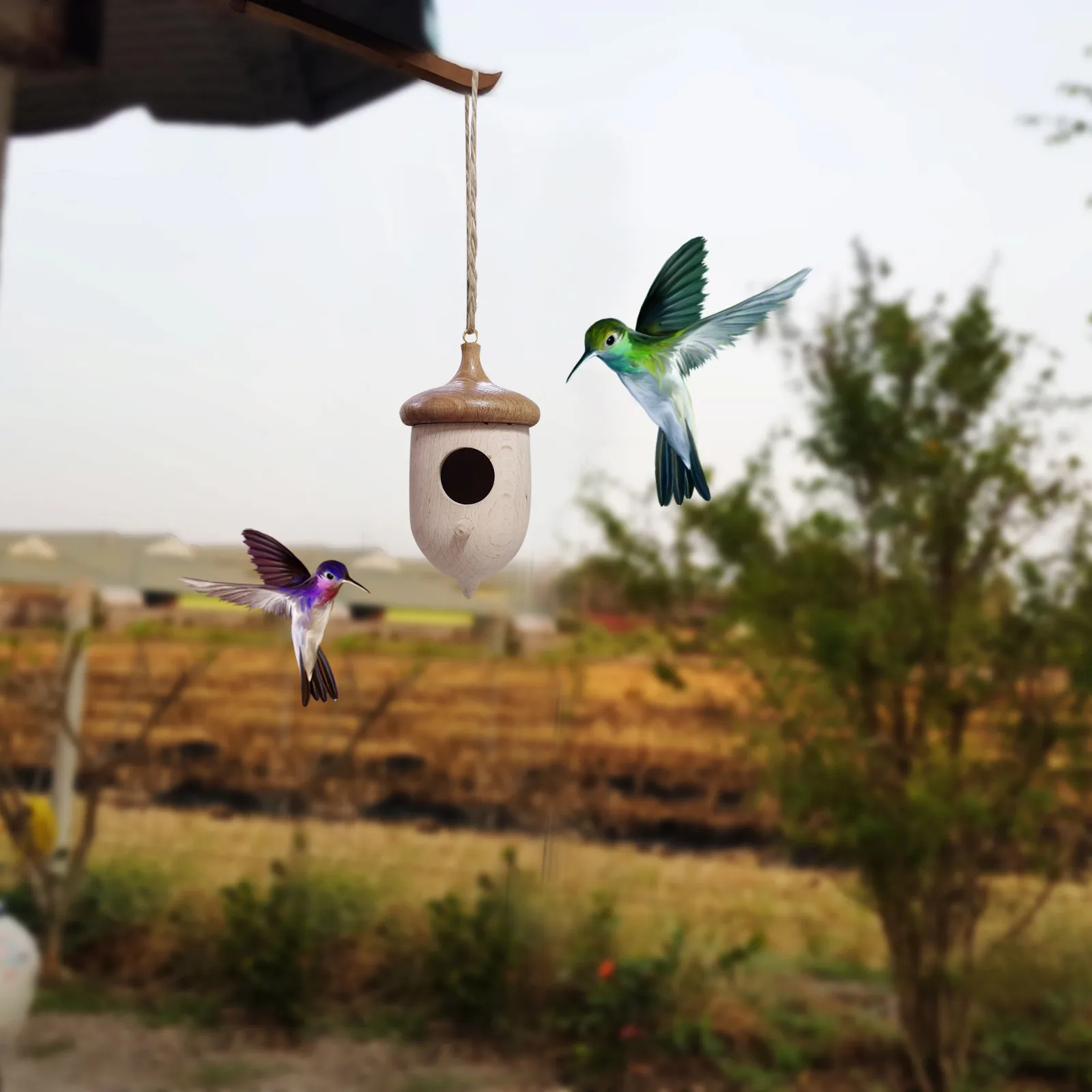 

2 шт., деревянный домик для Колибри, 2022