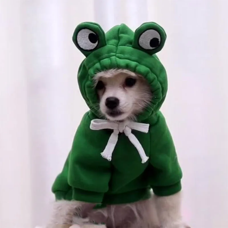 

Fruit turns into dog, cat, small and medium-sized dog, autumn and winter sweater, fleece clothes, pet, Teddy Fadou