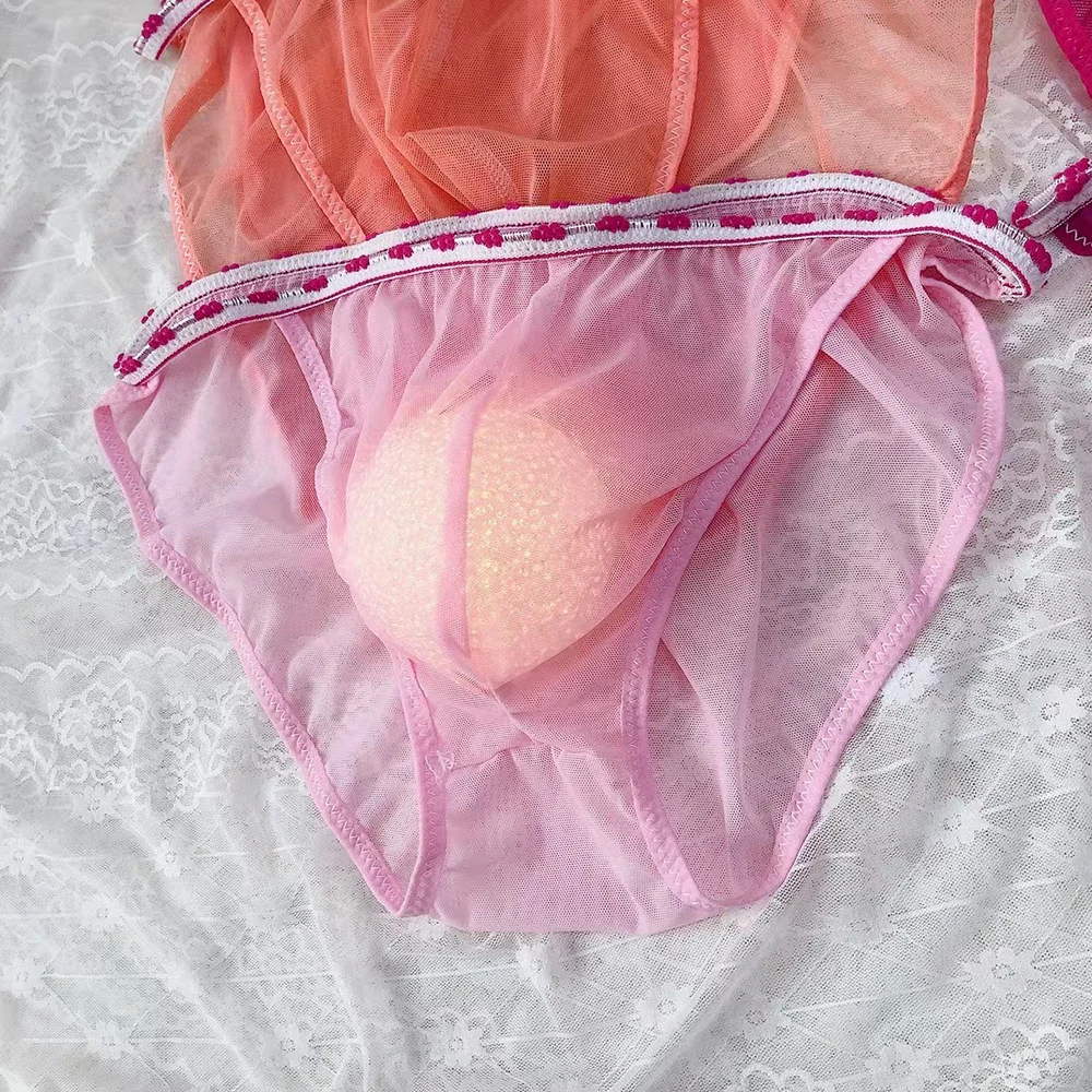 

Transparent Mesh Briefs Sissy Sexy Men Underwear See Through Panties Male Bulge Pouch Underpants Random Color Lingerie