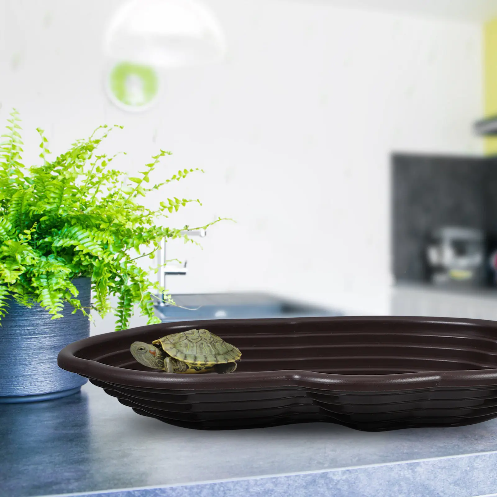 Большой бассейн для купания черепах, поилка для рептилий с пандусом для лазания, для использования в террариумах для черепах, гекконов, бородатых раков-отшельников. (art.: 3920dd0afce9e) - 3920dd0afce9e