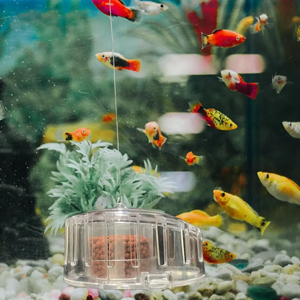 Аквариумная ловушка для рыб водное растение аквариумной системы удаление улиток