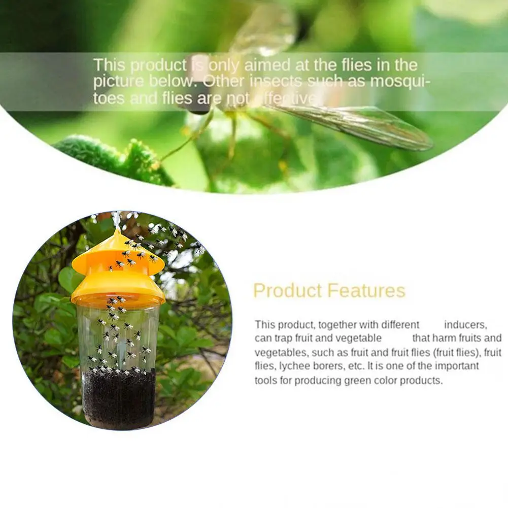 Ловушка для фруктов сада овощей сладкой дыни апельсинов маленькие фрукты мушка с
