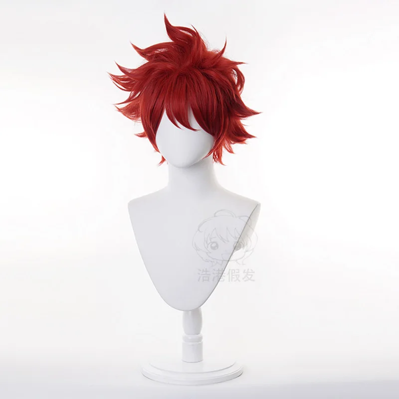 SK8 REKI Косплей Парик 30 см Короткие синтетические волосы The Infinity Kyan Reki Костюм Парики