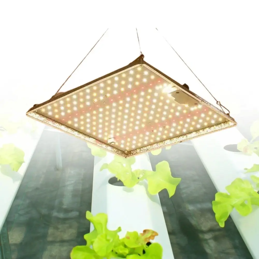 Horticulture Cultivation 1000w Ip45 Greenhouse Hydroponic Grow Light Uv Ir