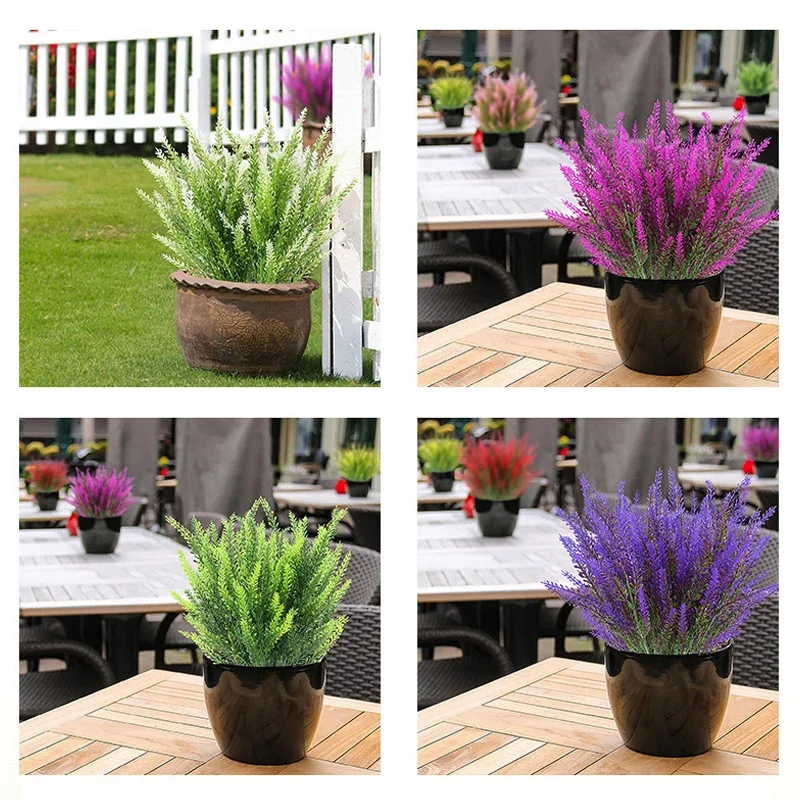 Пурпурная пшеничная шипа