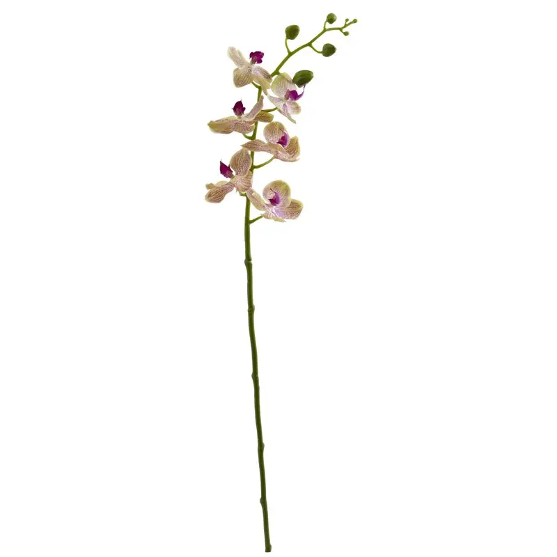 

Phalaenopsis Orchid Artificial Flower (Set of 4), Raspberry