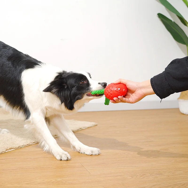 

Hot Selling Pet Supplies Toys Rubber Vocal Interactive Grinding Teeth Cleaning Toys Interactive Toys Puppy Dog Toys for Large