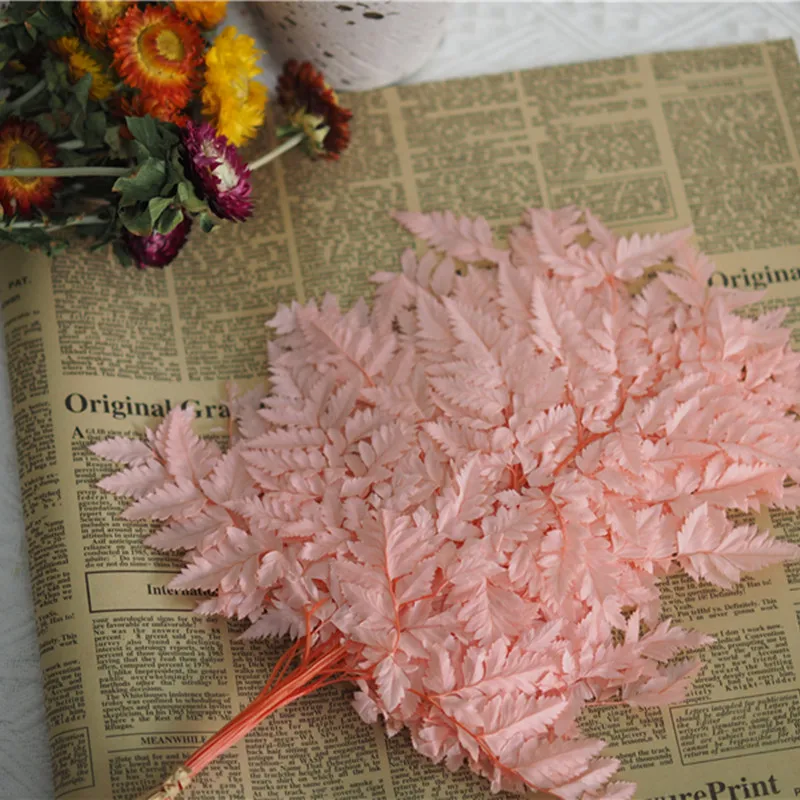 

10PCS Colorful Dried Flower Fiddlehead Ferns Leaf Preserved Alpine Sheep Tooth Bouquet Garden Decoration Outdoor Pampas