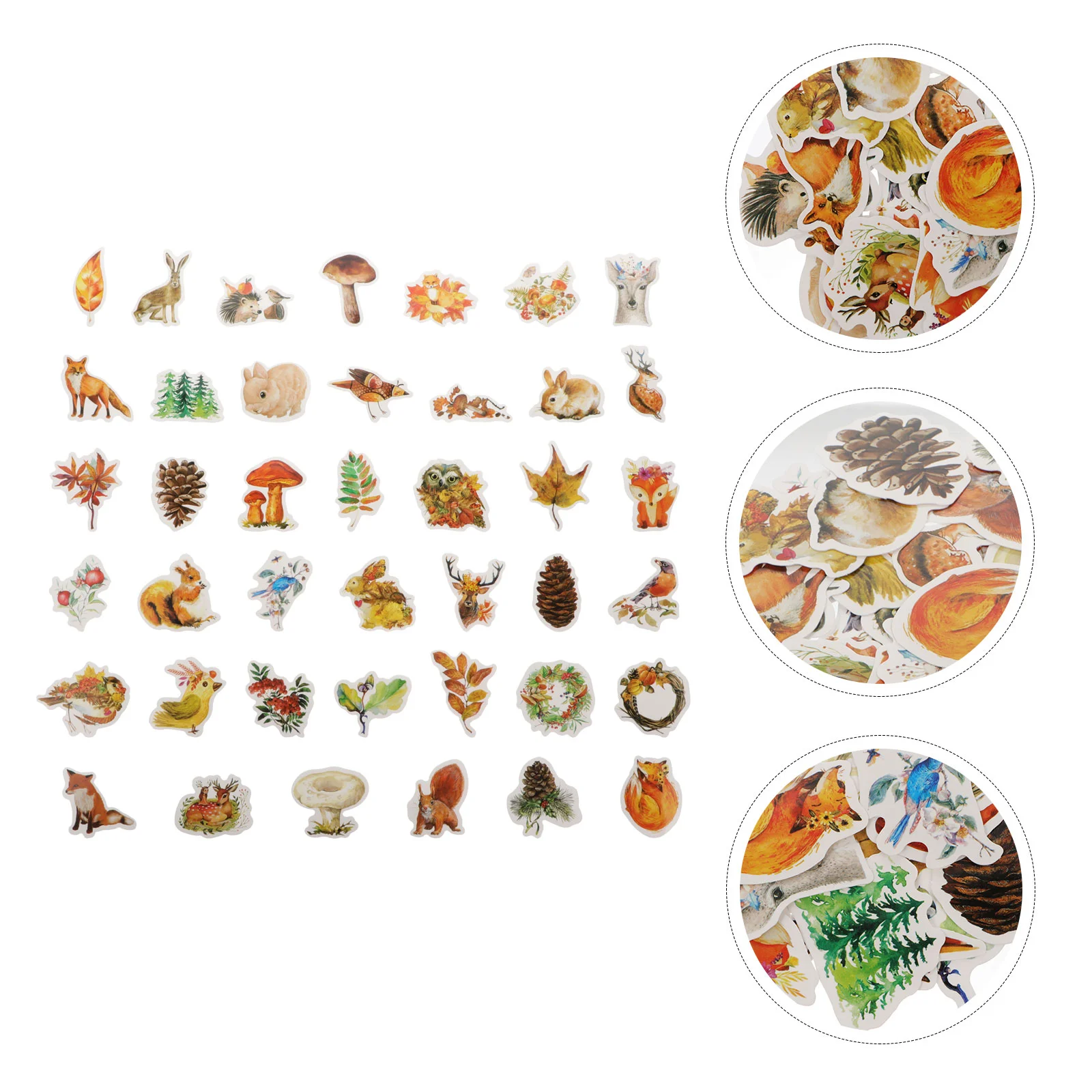 

205 Pcs Plants Decor DIY Paper Gift Wrapping Decorations Fall Decorative Autumn Botanical