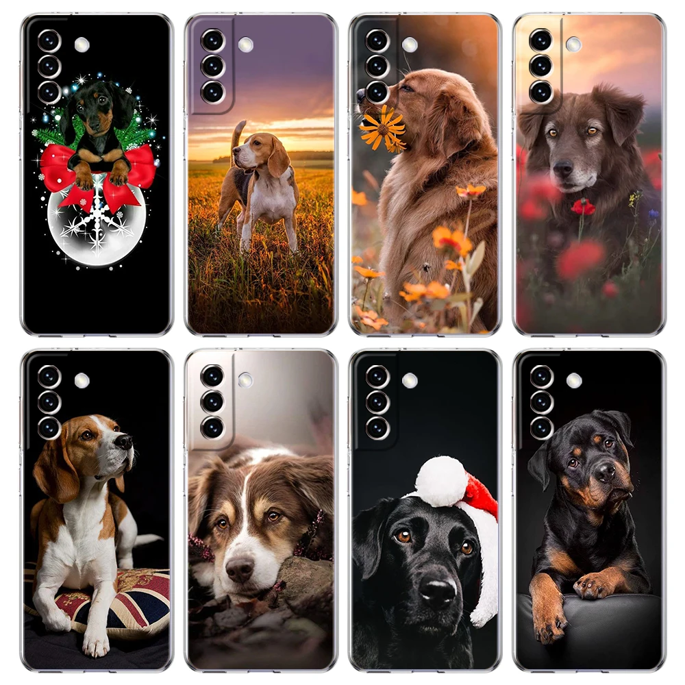 

Gift Dog Transparent Cover for Samsung Galaxy S22 S20 S21 FE Note 20 10 Ultra S10 S10E S9 M21 M22 M31 Lite Plus Case Funda Bag