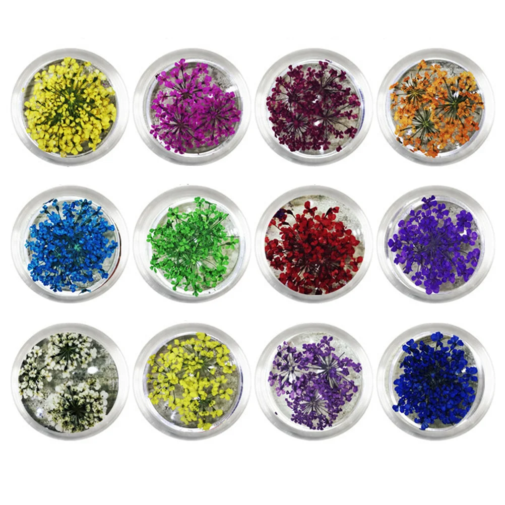 

12 Boxes 12 Colors Nail Real Dried Flower Nail Tips Decoration Design Flower Three-dimensional Applique 3D Nail Stickers