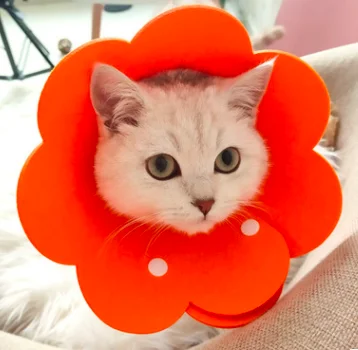 

Collar Wound Healing Protective Cone Flower Shaped Cat Recovery Collar for Kitten Puppy