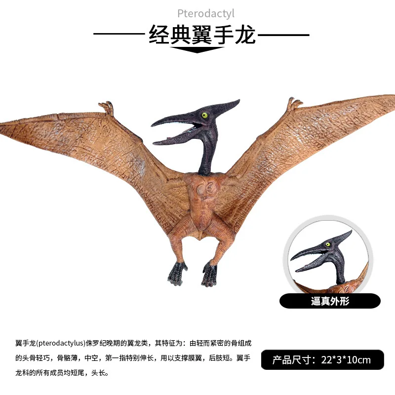 

22CM Lifelike Jurassic Dinosaurs World Animal solid Model Pterosauria Action Figures PVC Collection Ornaments Kids Toys Gifts