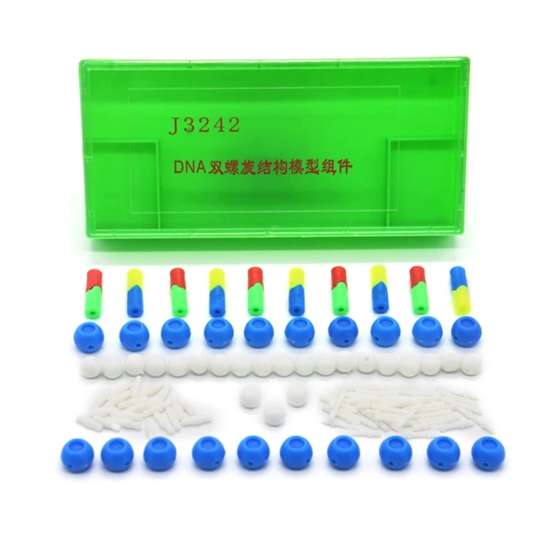 

448F DNA Double Helix Model Biological Science Teaching Aids for DNA Assembling