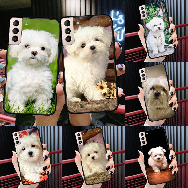 Maltese Dog Puppies Case For Samsung Galaxy J7 J5 J1 J3 2016 A3 A5 2017 A6 A7 A8 A9 J8 2018 J4 J6 Plus Coque