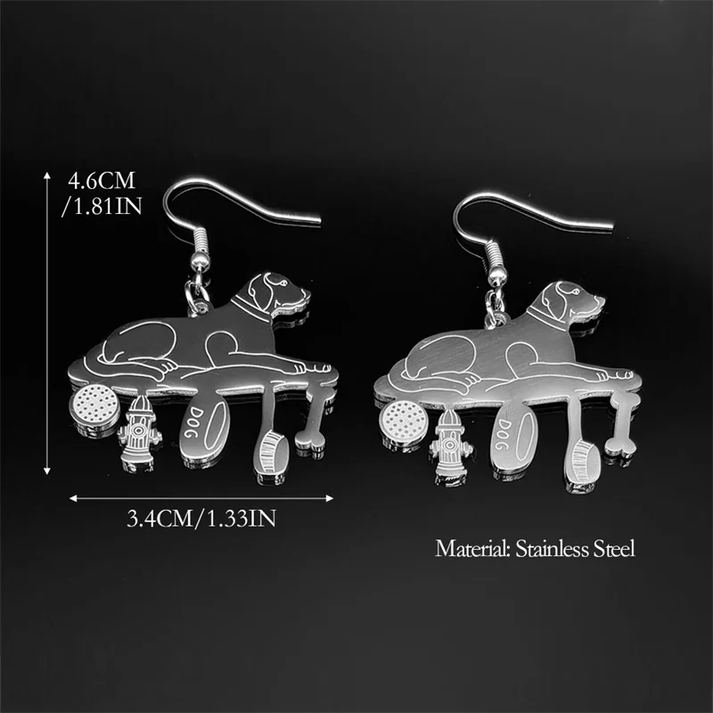 Серьги-подвески для женщин и мужчин из нержавеющей стали серебристого цвета