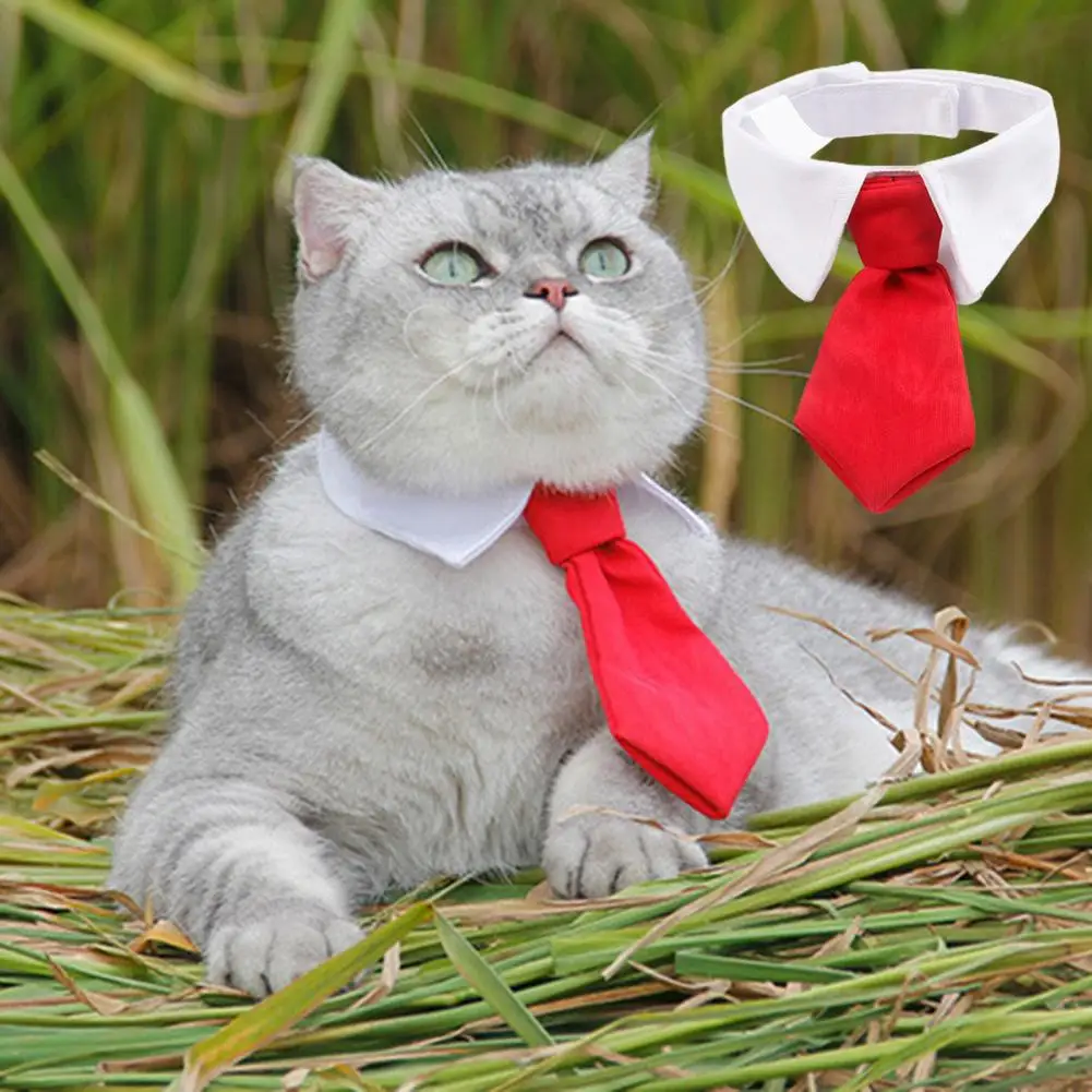 

Pet Necktie Stylish Adjustable Bright Color Fastener Tape Closure Dogs Cats Necktie Collar Pet Accessory