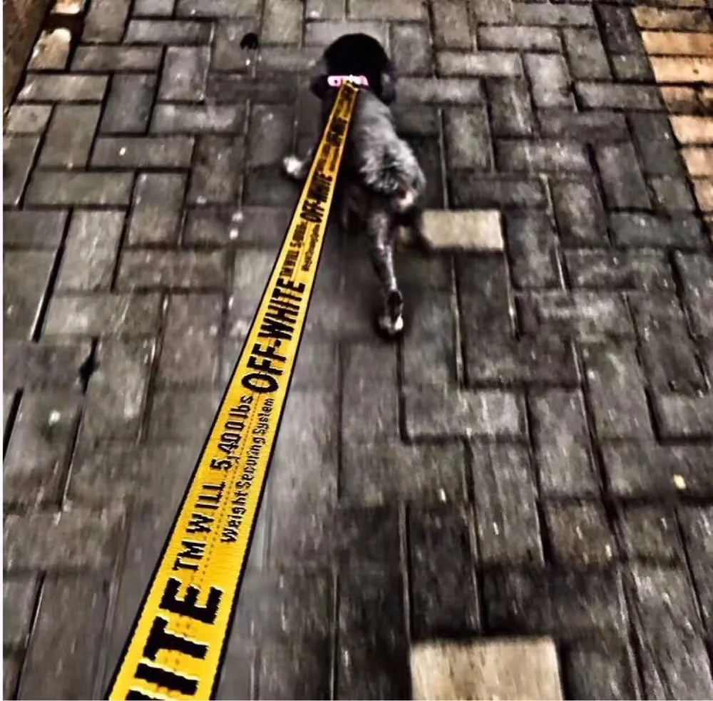 

Fashion Pet Dog Collar Leash 1.6M Nylon Rope Dog Pet Leash Lead Puppy Medium Large Dogs Safety Protect Dog And Fshion Dog Collar