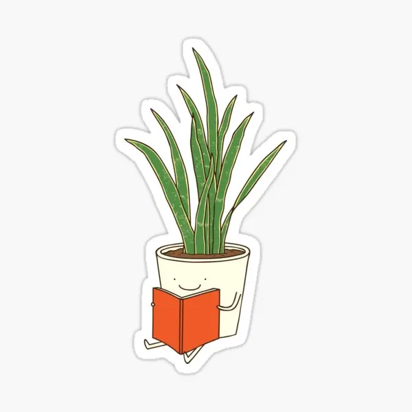 

Indoor Plant 5PCS Stickers for Decorations Art Bumper Cartoon Print Water Bottles Living Room Car Kid Decor Background Home