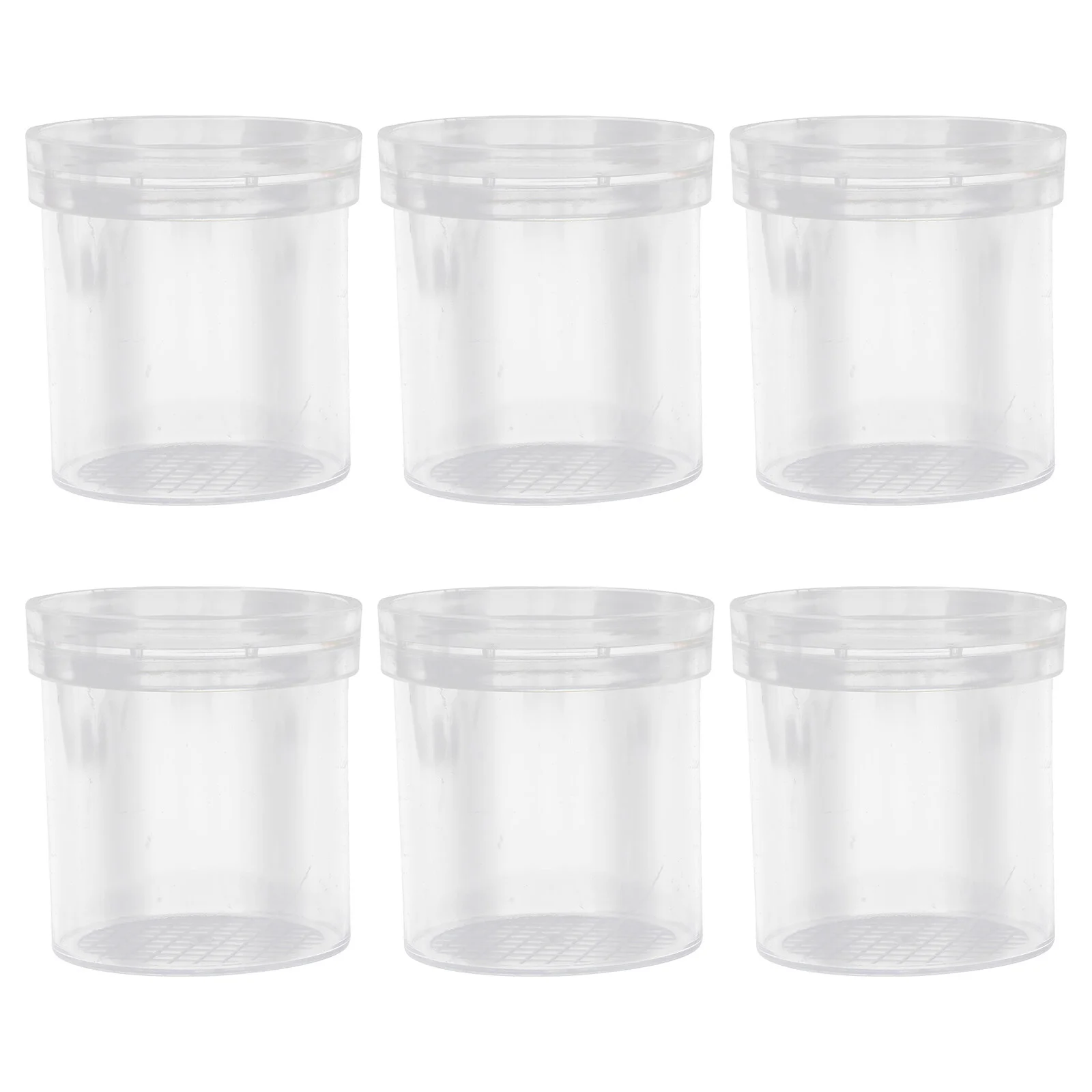 

Kids Suitcase Educational Exploration Gadget Biology Science Observer Kids Insect Viewer