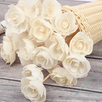 10Pcs/set Rattan Flower for Fragrance Rattan Sticks DIY Home Decoration Aromatherapy Accessories for Reed Diffuser
