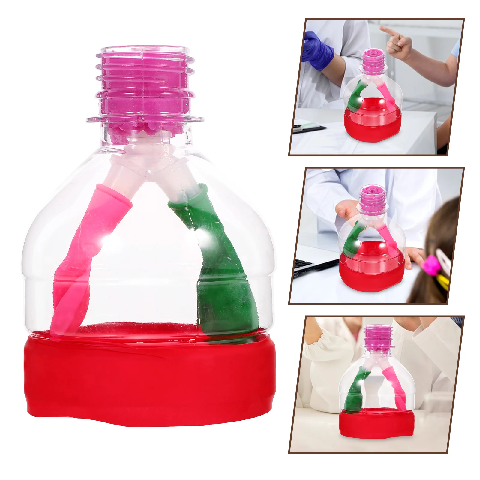 Модель дыхания легких физиологические органы тела обучающий инструмент