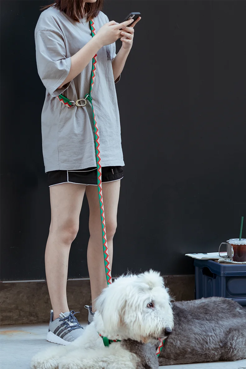 

Soft Dog Adjustable Double Head Nylon Leash Running Hands Free Elastic Training Pet Bungee Jumping Dog Leash Expandable Pet Rope