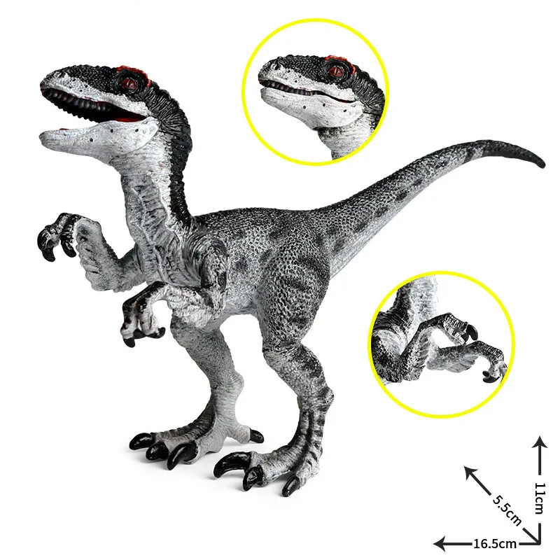 Simulation Velociraptor Dilophosaurus Cetiosaurus Sinornithosaurus Model Action Figures Rebbachisaurus Compsognathus Toys Gifts images - 6