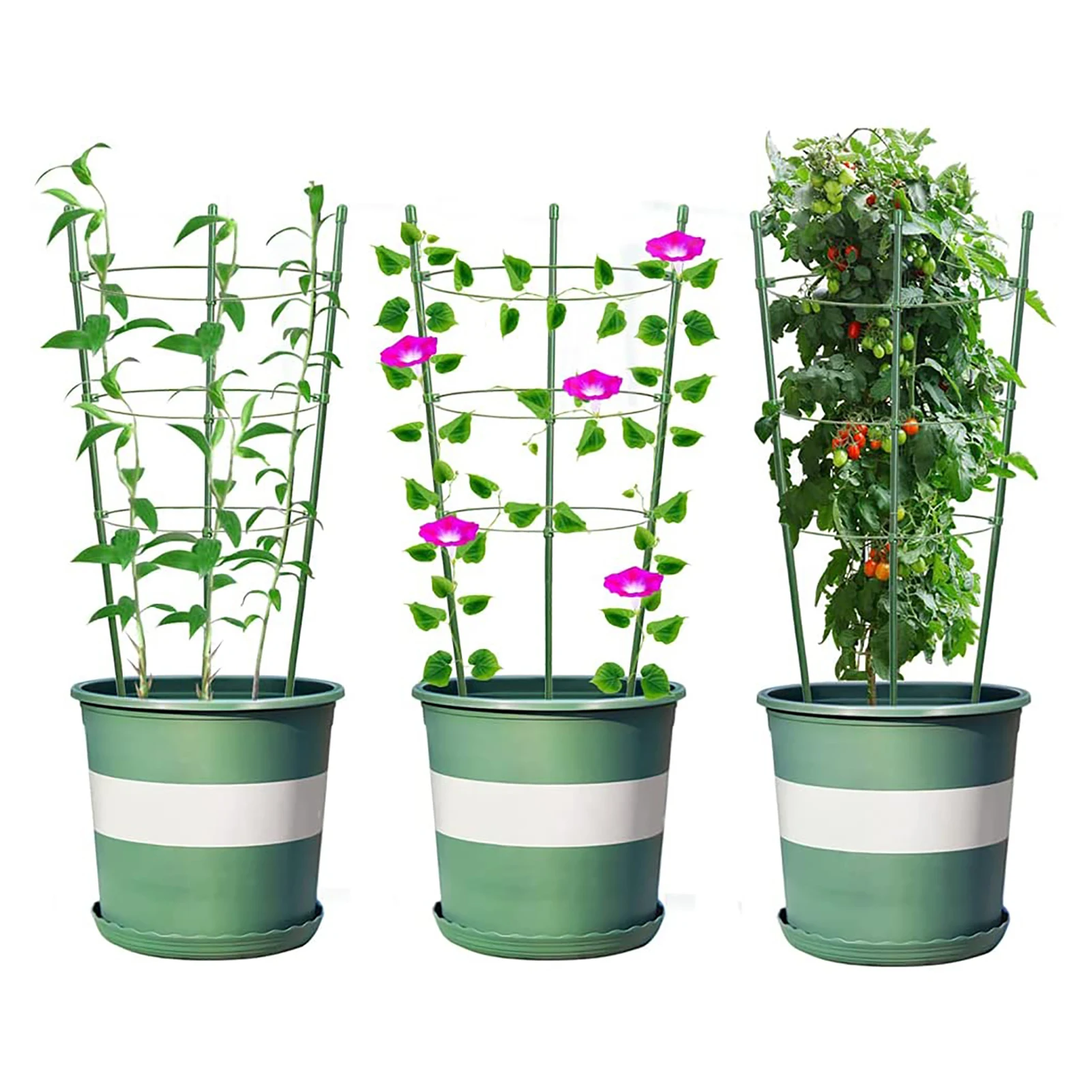 

Plant Protector Seedling Plant Protectors Supports Protective Plant Mesh Covers And Brackets For Indoor Outdoor Against Damage