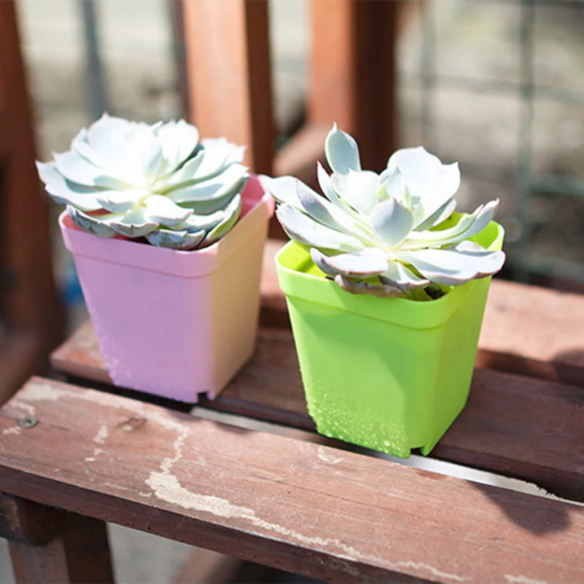 

12pcs Plastic Square Flower Pot Mini Decorative Flower Pots Planters Creative Succulents Nursery Floral Holder Organizer Garden