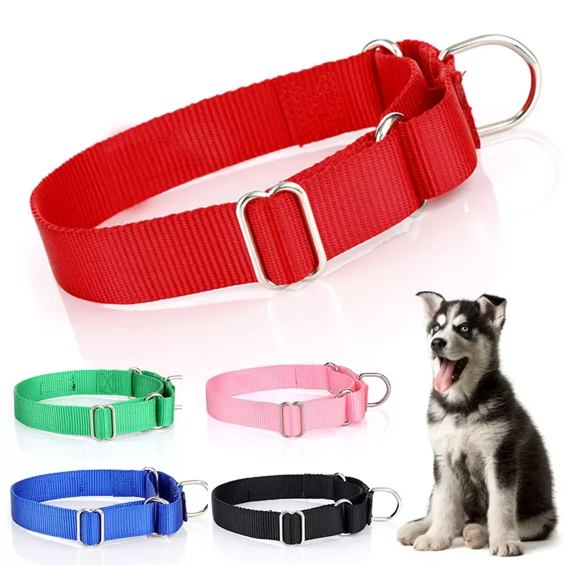 

2023NEW Adjustable Pet Dog Collar for Small Large Dogs Durable Puppy Big Dog Collars Pitbull Pug Products for Pets Honden Halsba