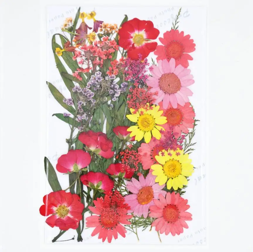 1 набор разнообразных цветов цветочный лист гербарий для эпоксидной смолы