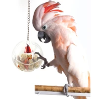 parrot foraging ball toy transparent bird feeding toys for small medium parrots food storage balls with magnet bird accessories