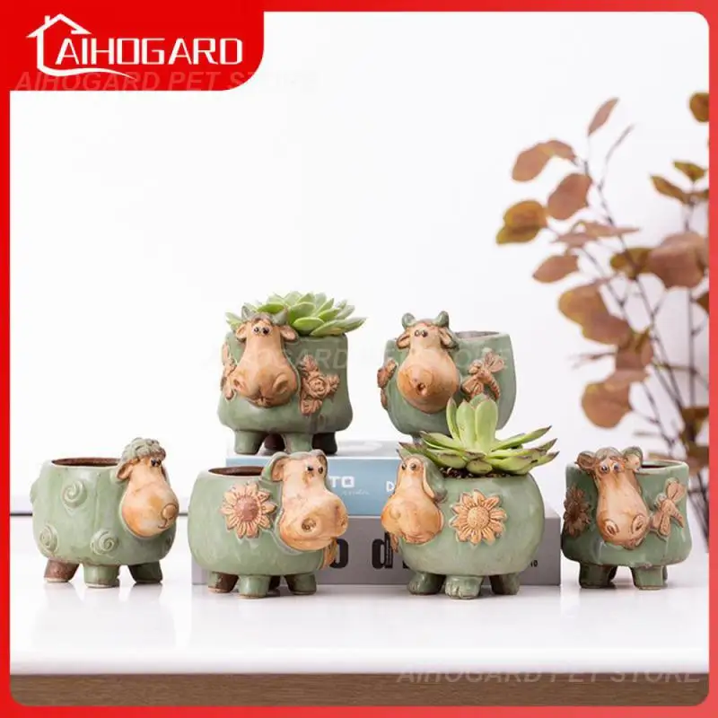 

Succulent Plant Pots Ceramic Flowerpot Cartoon Artistic Succulent Flower Pot Flower Pot Cartoon Pots Ceramic Plant Pots European