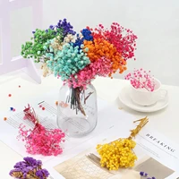 colorful natural real flower mini fresh dried small gypsophila flowers bouquet for wedding party diy arrangements bedroom decor