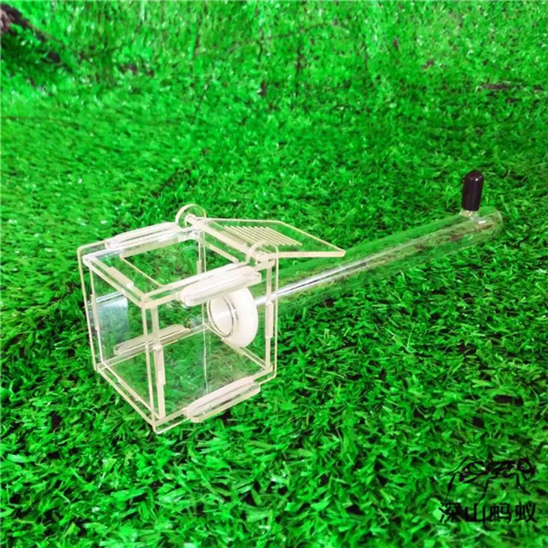 Ant Nest Glass Tube Mini Ant Nest with Active Zone Insect House Acrylic Ant Farm images - 6