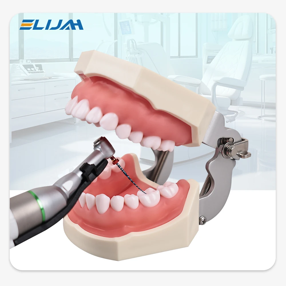 XYSZ Стоматологические файлы для корневых каналов Конические иглы