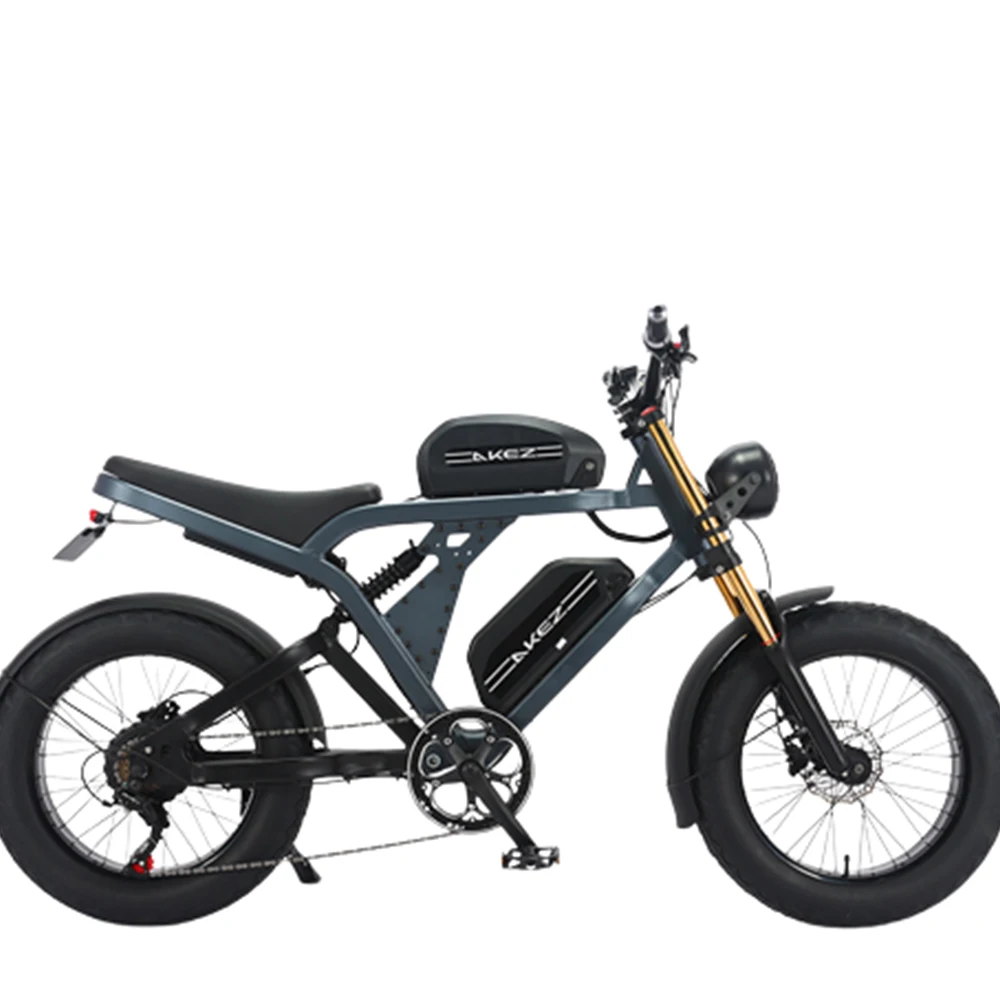 

20 Inches Bicycle Aluminum Alloy Front And Rear Mechanical Disc Brakes Bike Soft Tail Frame Beaded Foot Damping