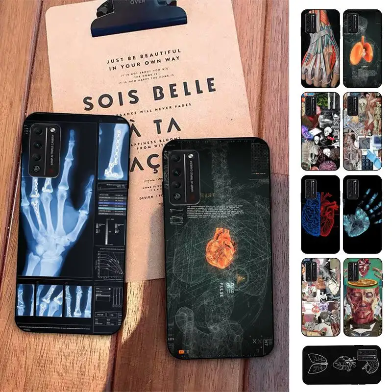 

Radiological human organs Skeleton skull Phone Case For Huawei Honor 10 lite 9 20 7A pro 9X pro 30 pro 50 pro 60 pro 70 pro plus