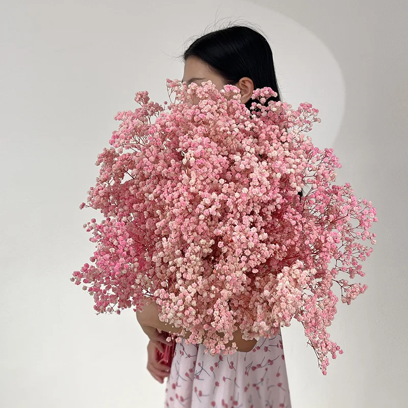 

Сушеные цветы гипсофила YN HI FLOWER ENJOY YOUR LIFE