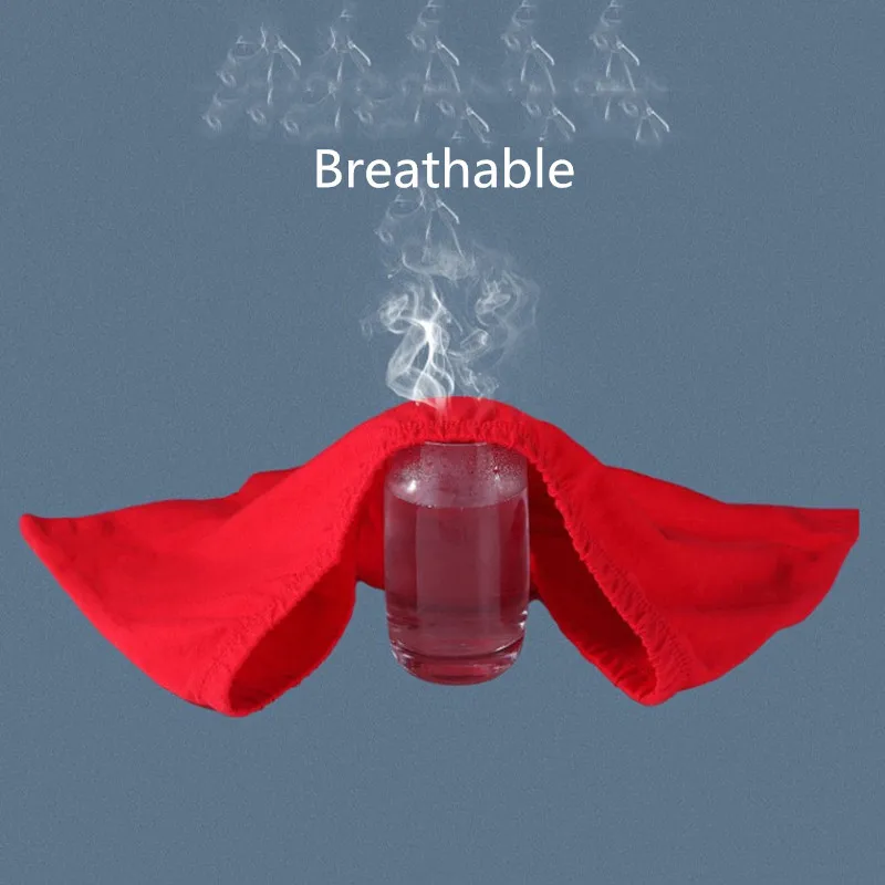 5Pcs/Lot New Men's Red Underwear Men Cotton Red Oversize Underpants Soft Comfortable Breathable Men's Red Briefs