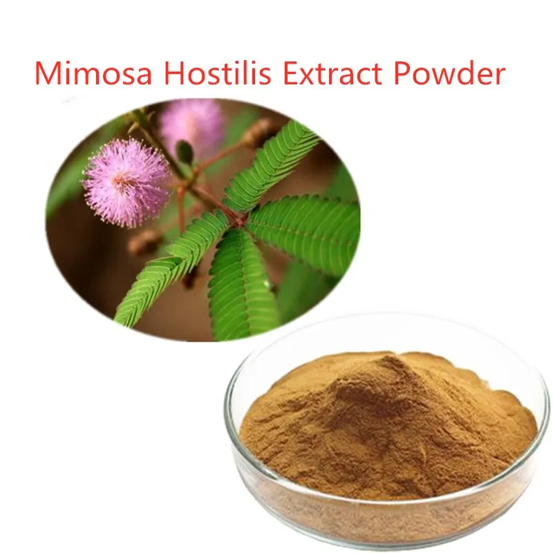 

Лучший 100% порошок экстракта mimosa axilis (GMP и ISO), блестящий продукт для чистого тела